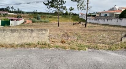 Land in Monte Real e Carvide of 1,917 m²