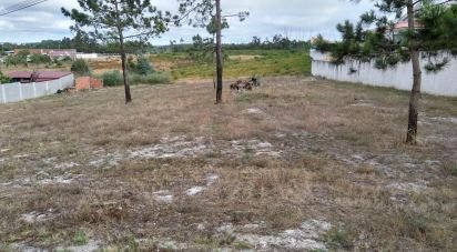 Land in Monte Real e Carvide of 1,917 m²