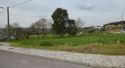 Land in Chão de Couce of 773 m²
