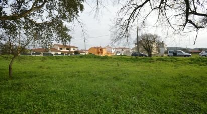 Land in Chão de Couce of 773 m²