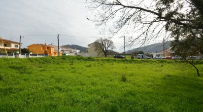 Land in Chão de Couce of 773 m²