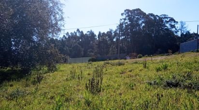 Terrain à Maçãs de Dona Maria de 8 000 m²