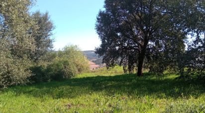 Terrain à Maçãs de Dona Maria de 8 000 m²