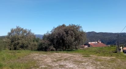 Terrain à Maçãs de Dona Maria de 8 000 m²