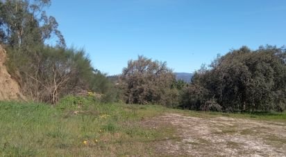 Terrain à Maçãs de Dona Maria de 8 000 m²