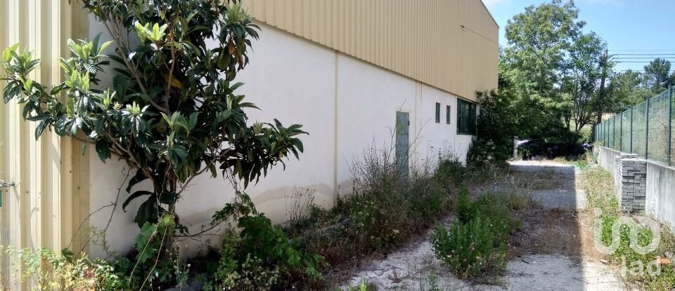 Warehouse in Abiul of 370 m²