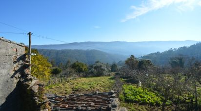 Maison T0 à Vila Nova de 100 m²