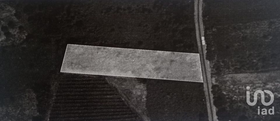 Land in Santiago e São Simão de Litém e Albergaria dos Doze of 1,150 m²