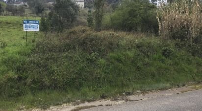 Land in Santiago e São Simão de Litém e Albergaria dos Doze of 1,150 m²