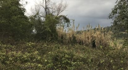 Land in Santiago e São Simão de Litém e Albergaria dos Doze of 1,150 m²