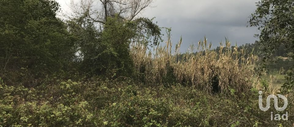 Land in Santiago e São Simão de Litém e Albergaria dos Doze of 1,150 m²