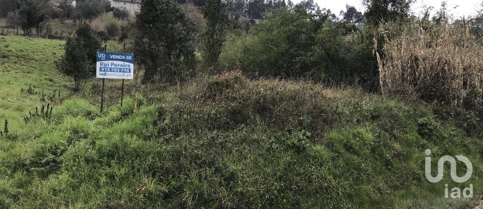 Land in Santiago e São Simão de Litém e Albergaria dos Doze of 1,150 m²