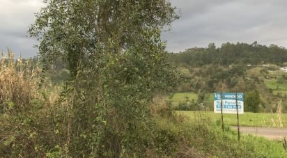 Land in Santiago e São Simão de Litém e Albergaria dos Doze of 1,150 m²