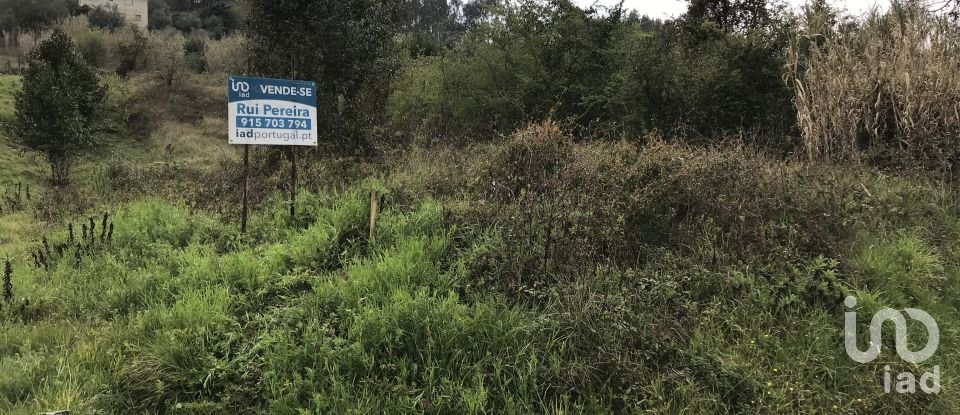 Land in Santiago e São Simão de Litém e Albergaria dos Doze of 1,150 m²