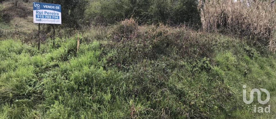 Land in Santiago e São Simão de Litém e Albergaria dos Doze of 1,150 m²