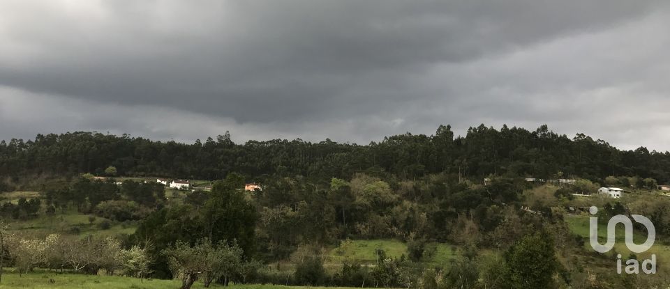 Terreno em Santiago e São Simão de Litém e Albergaria dos Doze de 1 150 m²