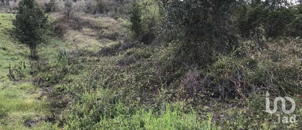 Land in Santiago e São Simão de Litém e Albergaria dos Doze of 1,150 m²