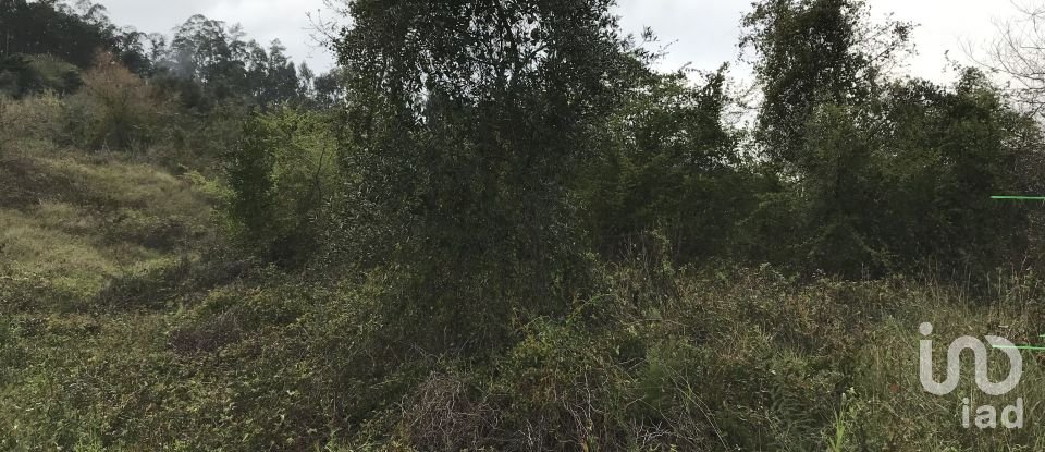 Land in Santiago e São Simão de Litém e Albergaria dos Doze of 1,150 m²