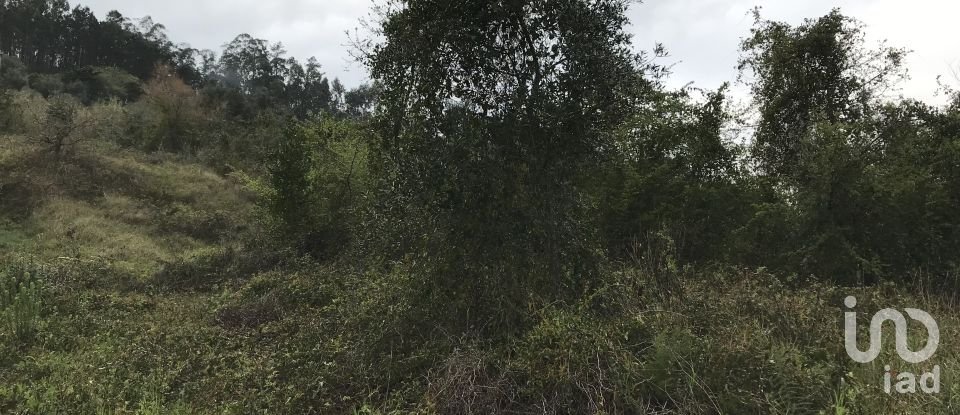 Land in Santiago e São Simão de Litém e Albergaria dos Doze of 1,150 m²