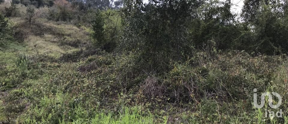 Land in Santiago e São Simão de Litém e Albergaria dos Doze of 1,150 m²