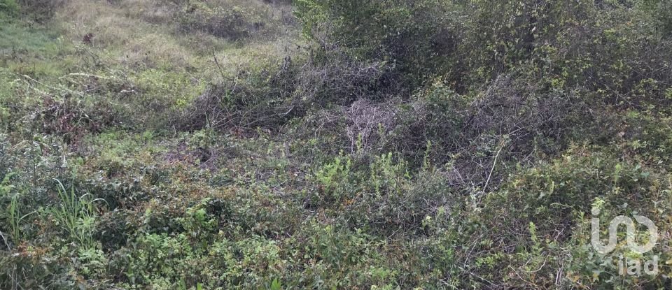 Land in Santiago e São Simão de Litém e Albergaria dos Doze of 1,150 m²