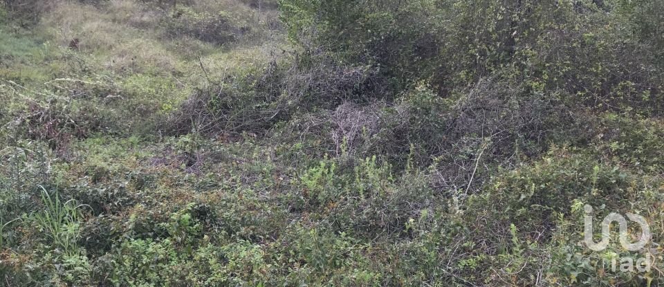 Land in Santiago e São Simão de Litém e Albergaria dos Doze of 1,150 m²