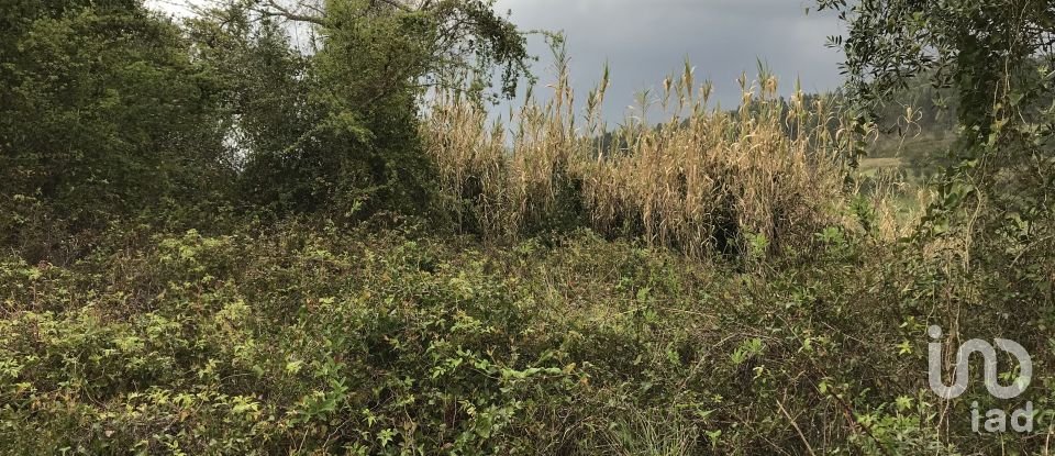 Land in Santiago e São Simão de Litém e Albergaria dos Doze of 1,150 m²