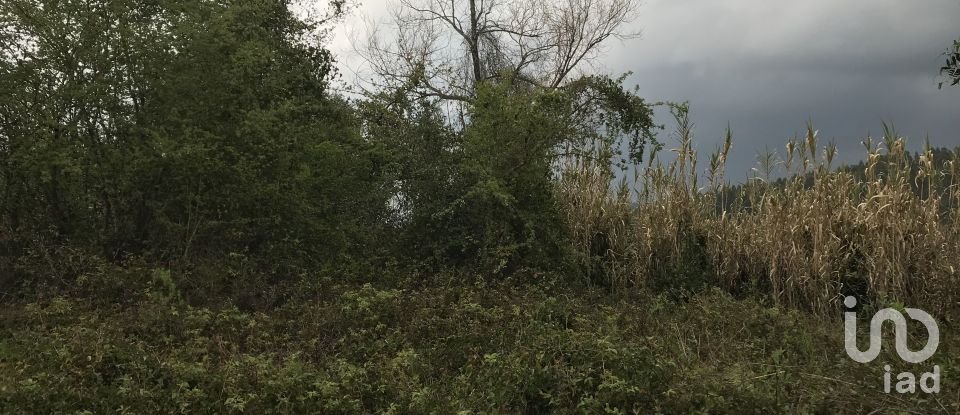 Land in Santiago e São Simão de Litém e Albergaria dos Doze of 1,150 m²