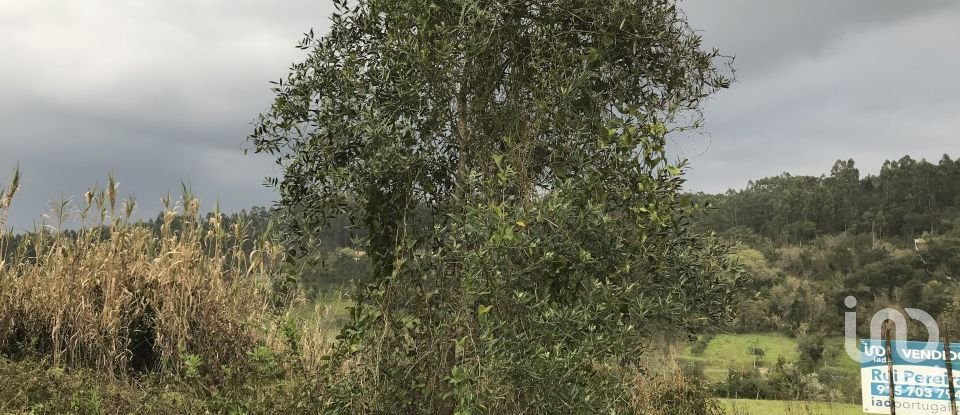 Land in Santiago e São Simão de Litém e Albergaria dos Doze of 1,150 m²