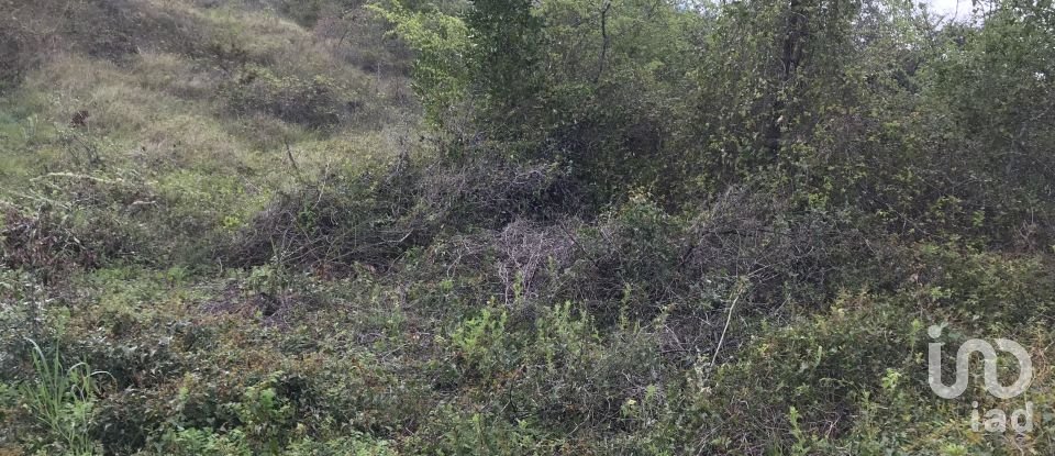 Land in Santiago e São Simão de Litém e Albergaria dos Doze of 1,150 m²