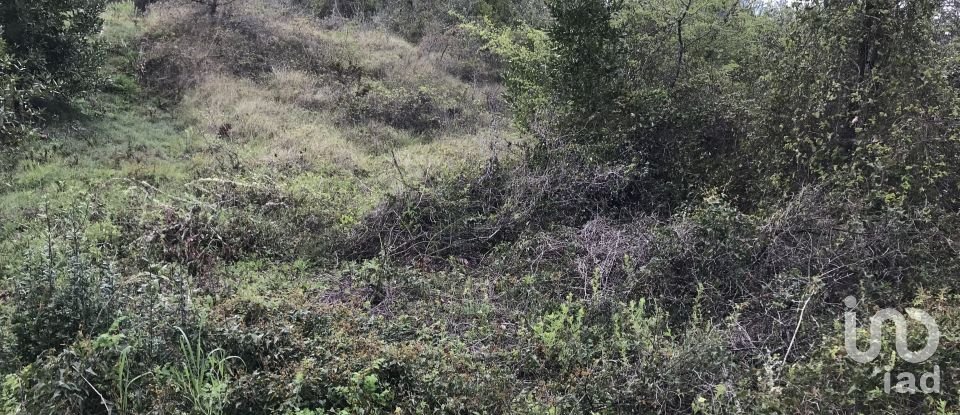 Land in Santiago e São Simão de Litém e Albergaria dos Doze of 1,150 m²