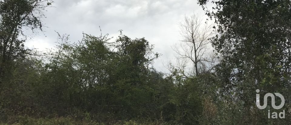 Land in Santiago e São Simão de Litém e Albergaria dos Doze of 1,150 m²