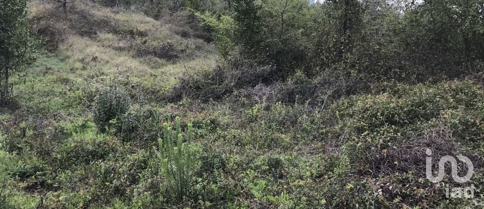 Land in Santiago e São Simão de Litém e Albergaria dos Doze of 1,150 m²