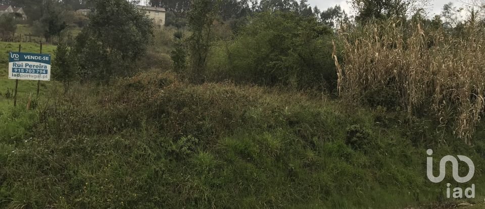 Land in Santiago e São Simão de Litém e Albergaria dos Doze of 1,150 m²