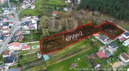 Land in São Pedro da Torre of 6,950 m²