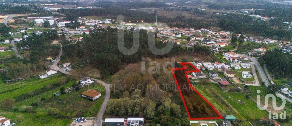 Terreno em São Pedro da Torre de 6 950 m²