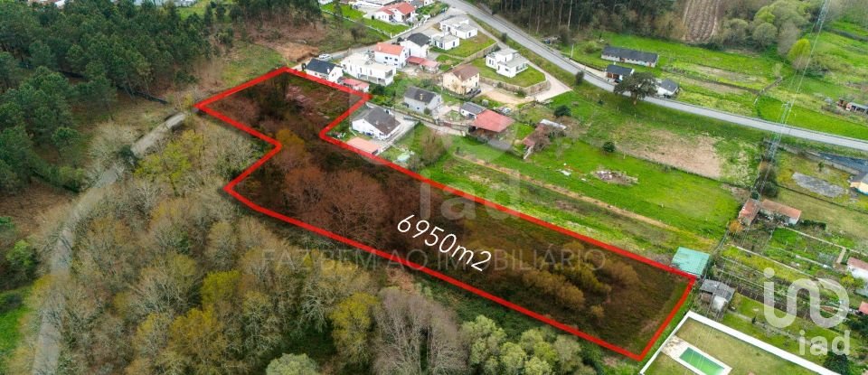 Terreno em São Pedro da Torre de 6 950 m²