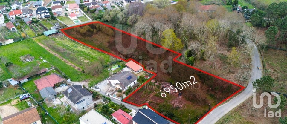 Terreno em São Pedro da Torre de 6 950 m²
