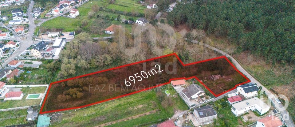 Terreno em São Pedro da Torre de 6 950 m²
