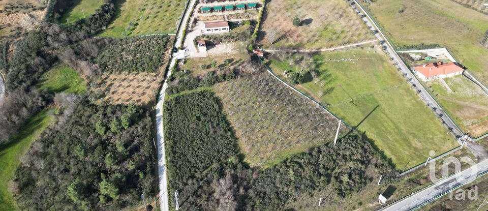 Maison rustique T10 à Podence e Santa Combinha de 380 m²