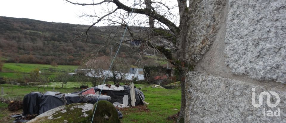 Maison T4 à Águas Frias de 60 m²