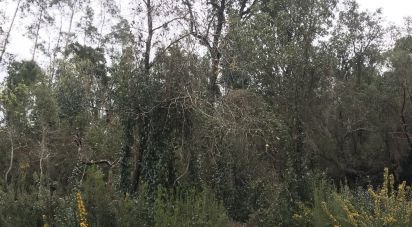 Land in Santiago e São Simão de Litém e Albergaria dos Doze of 840 m²