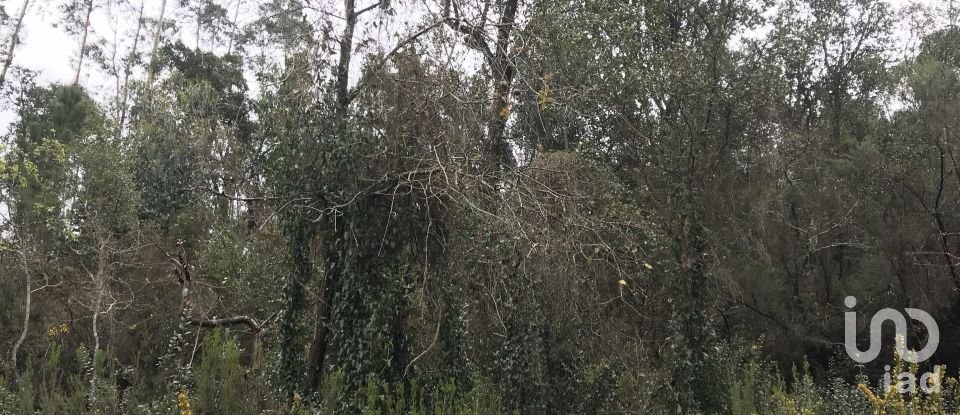 Land in Santiago e São Simão de Litém e Albergaria dos Doze of 840 m²