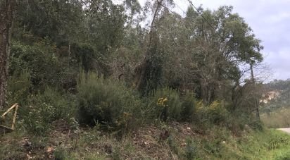 Land in Santiago e São Simão de Litém e Albergaria dos Doze of 840 m²