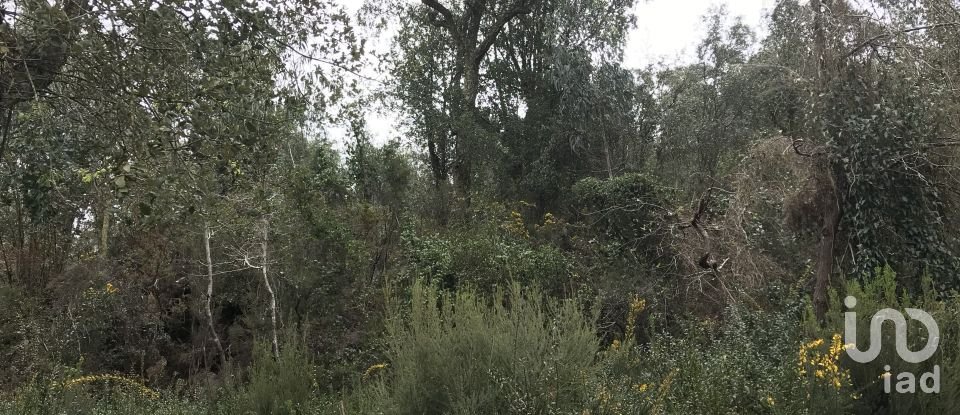 Land in Santiago e São Simão de Litém e Albergaria dos Doze of 840 m²