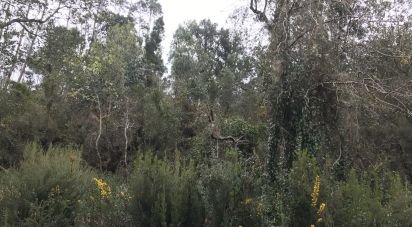 Land in Santiago e São Simão de Litém e Albergaria dos Doze of 840 m²