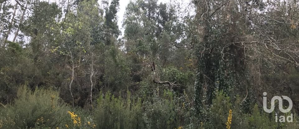 Land in Santiago e São Simão de Litém e Albergaria dos Doze of 840 m²