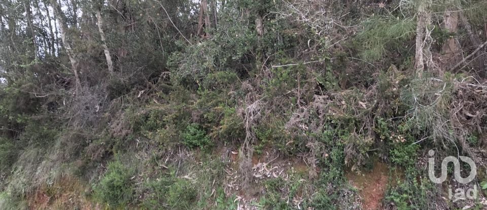 Land in Santiago e São Simão de Litém e Albergaria dos Doze of 840 m²