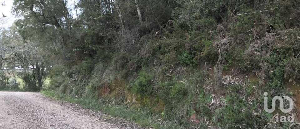 Land in Santiago e São Simão de Litém e Albergaria dos Doze of 840 m²