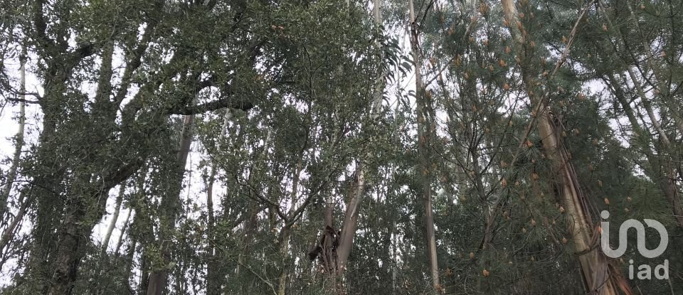 Land in Santiago e São Simão de Litém e Albergaria dos Doze of 840 m²